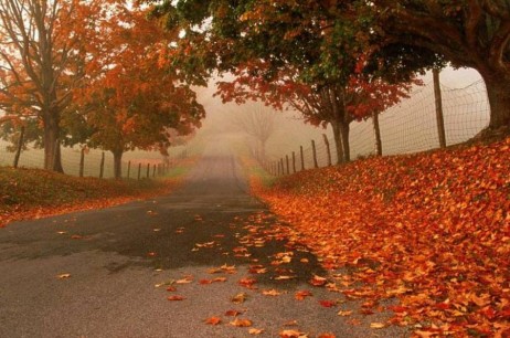 Keep Walking
