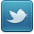 twitter_socialicon